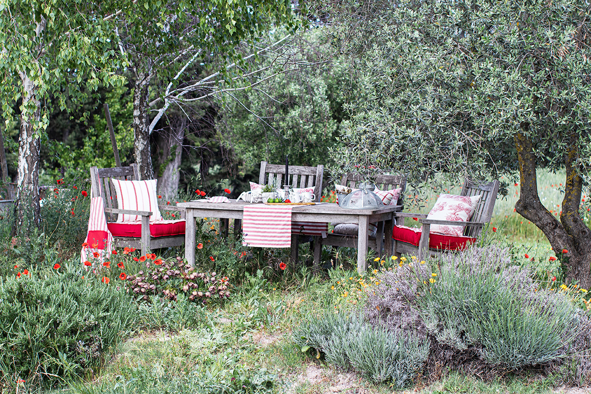 Green Olive Haven