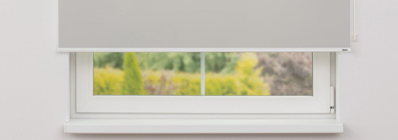 transparente002.jpg