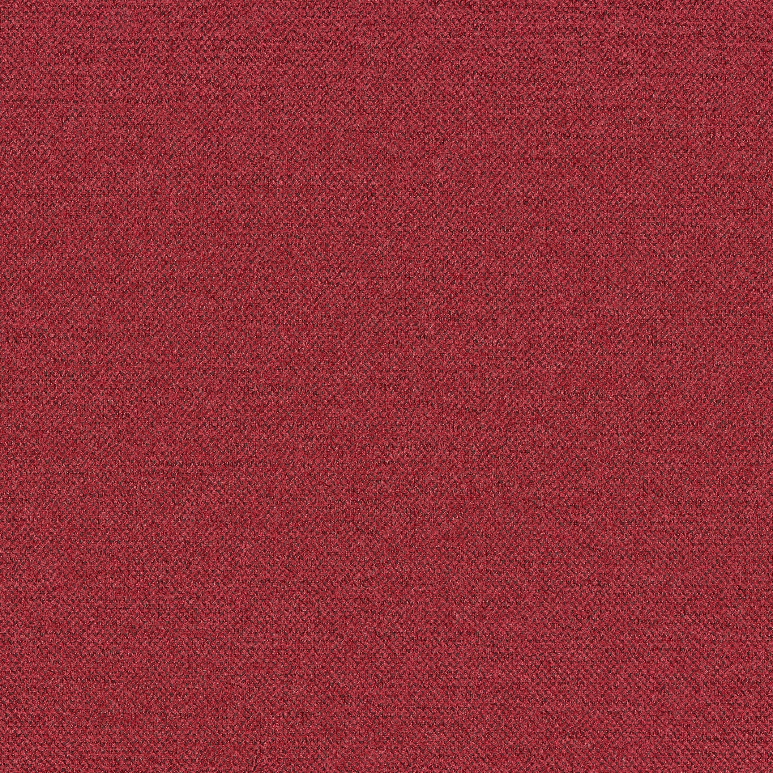 Living 162-50 fuchsia