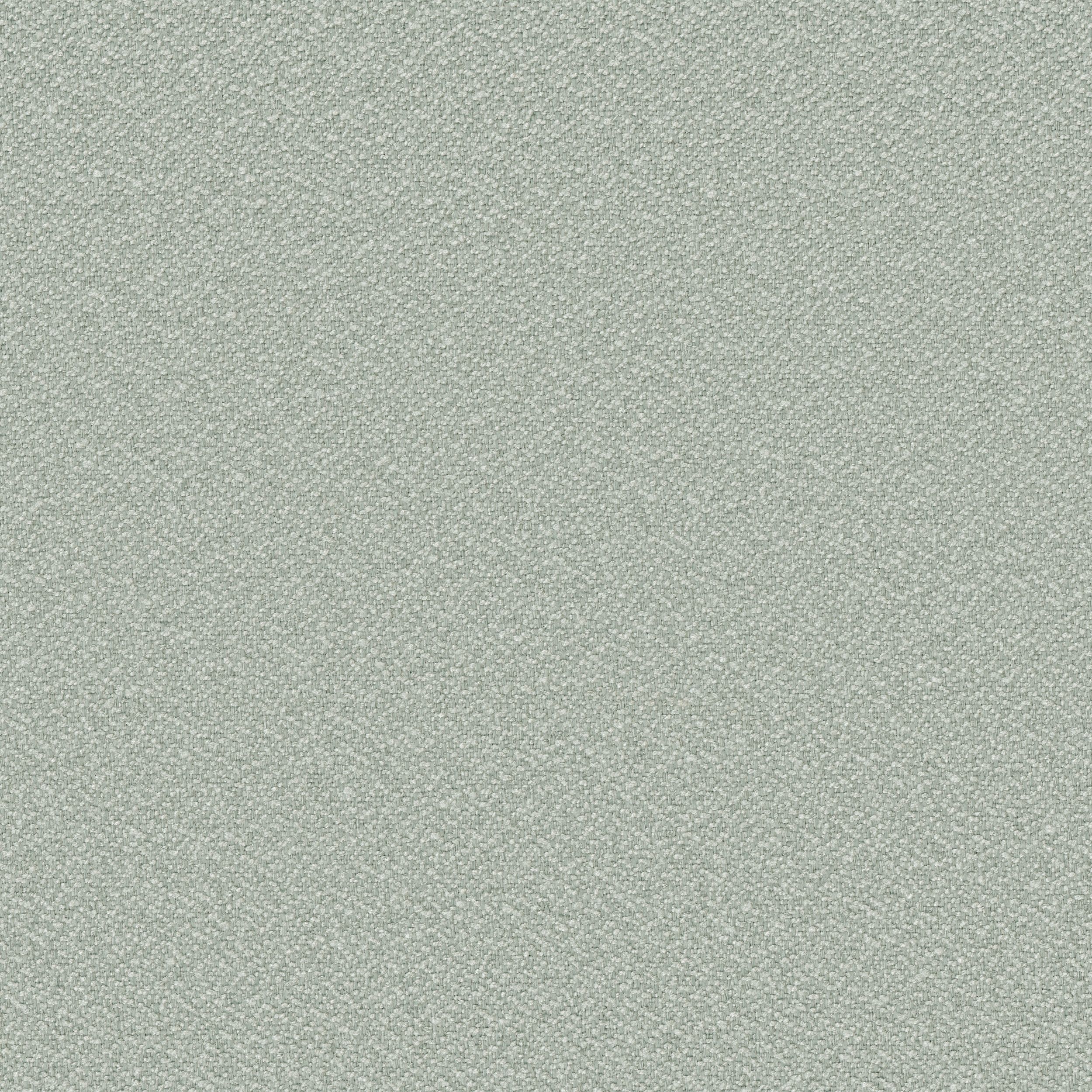Living Loop 162-55 salvia