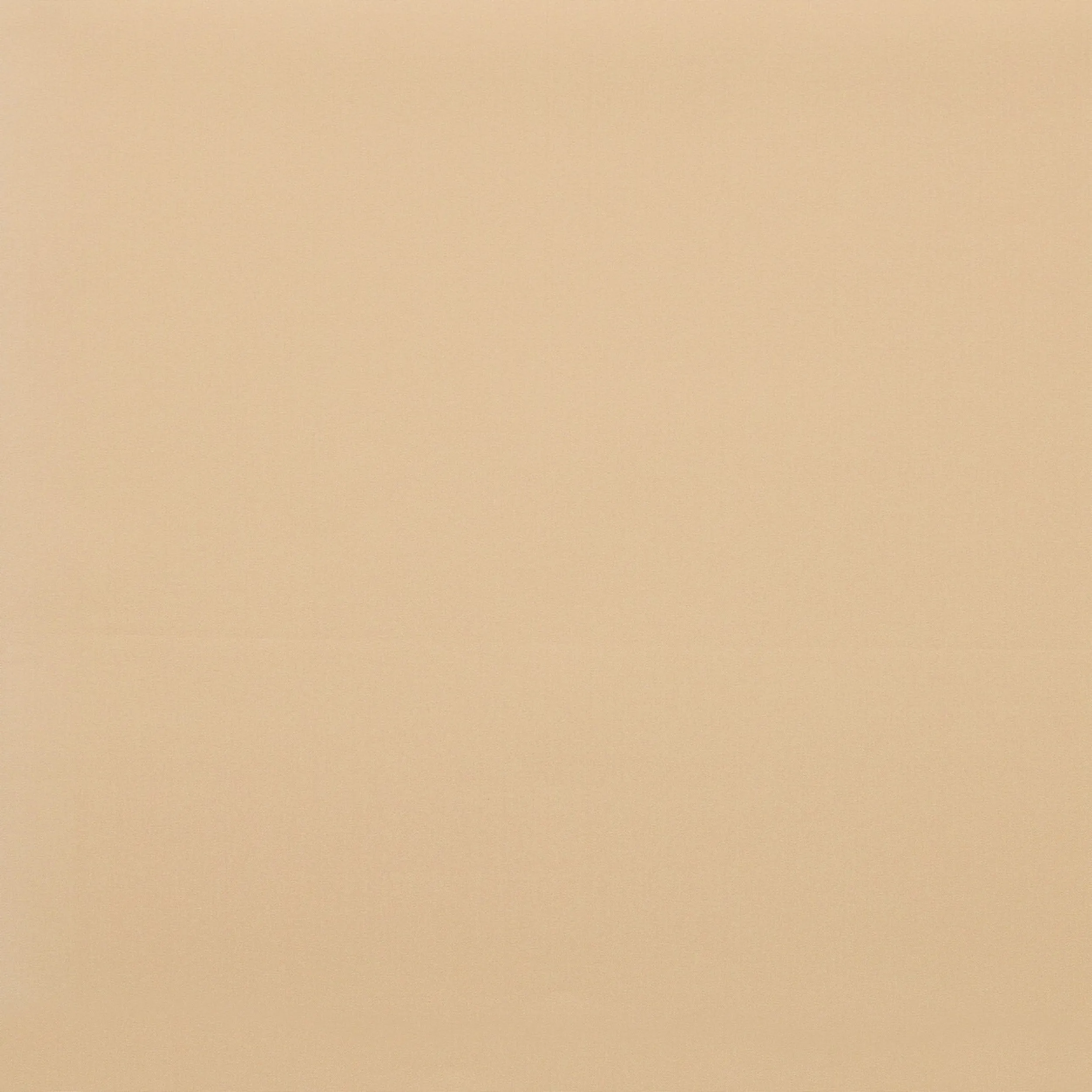 Rullgardiner - Blackout MGR204 beige
